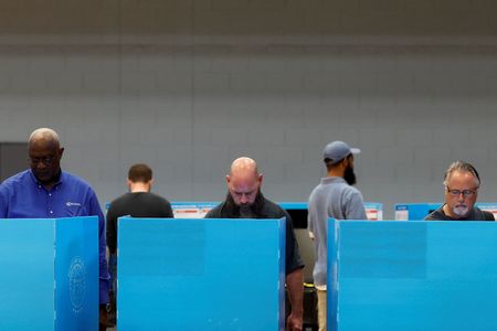 Democratic upset in U.S. midterms could roil markets, options mavens say