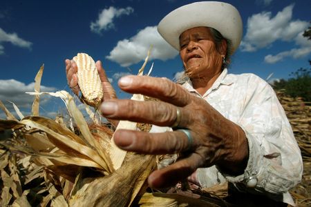 Mexican lawmakers push wider pesticides ban; farm groups alarmed
