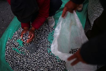 Fitch affirms Mexico at ‘BBB-‘, notes “prudent” policies alongside muted growth