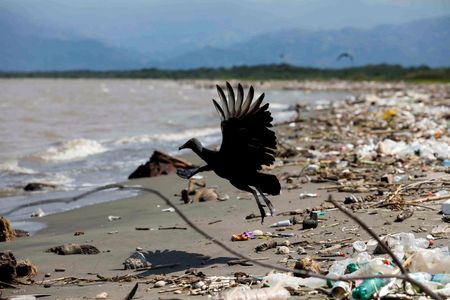 Investor group launches campaign to help companies protect nature