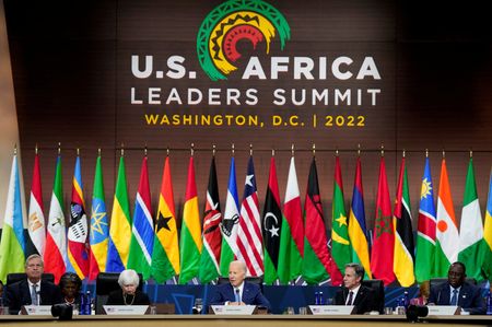World Bank’s IFC sees ‘huge’ potential to boost investment in Africa