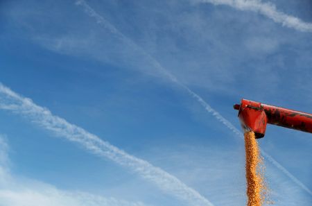 New U.S. agriculture trade chief seeks to diversify buyers beyond China