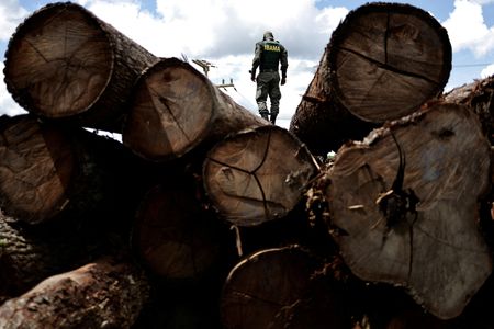 Many companies and finance firms yet to set deforestation policy – report