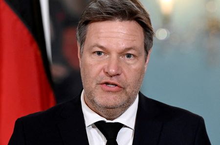 Germany to accelerate power market reform, minister says