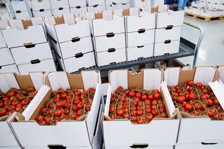 Shanghai food supplier’s books reveal big profits under COVID lockdown