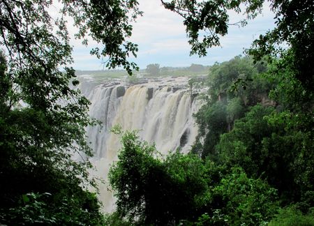 Zambia received ‘debt-for-nature’ proposal from WWF for restructuring