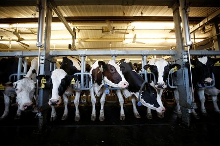 U.S. seeks new dispute panel over Canadian dairy imports